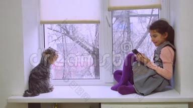 女孩在玩网络游戏智能手机和狗坐在窗台宠物窗台上